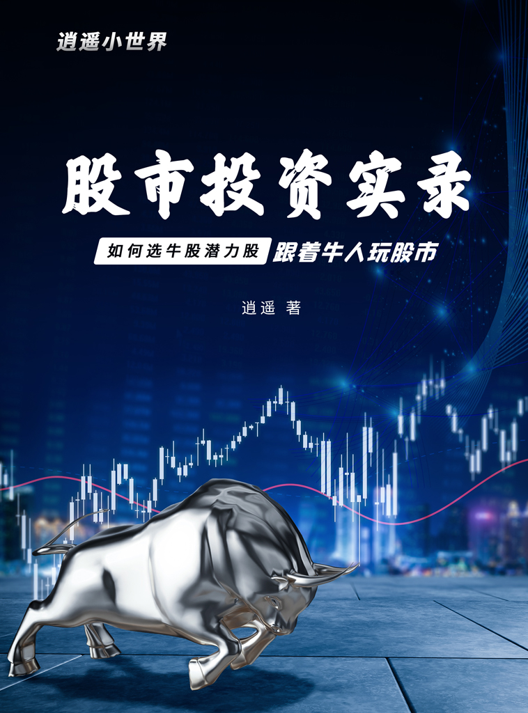 逍遥小世界：股市投资实录