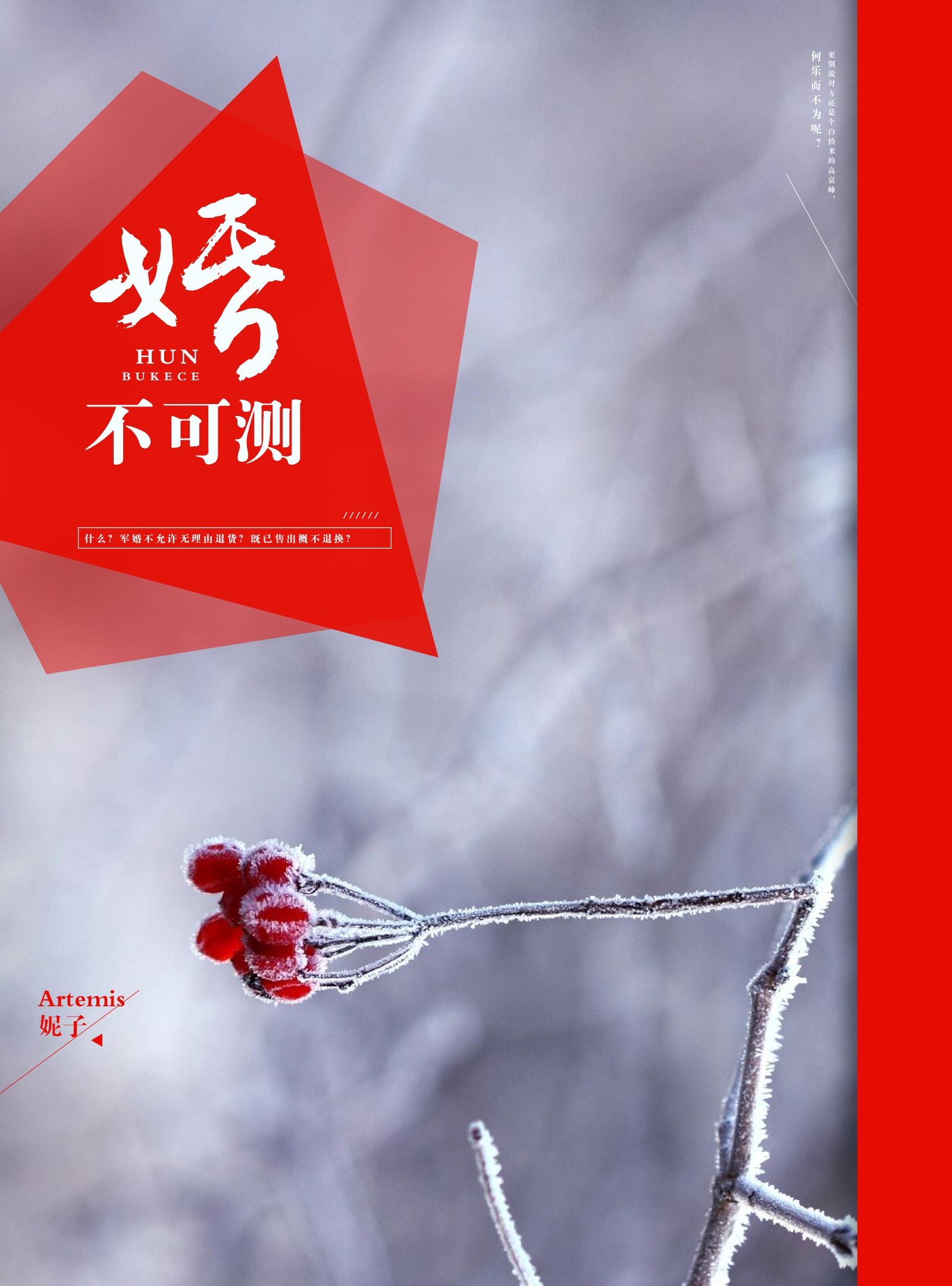婚不可测